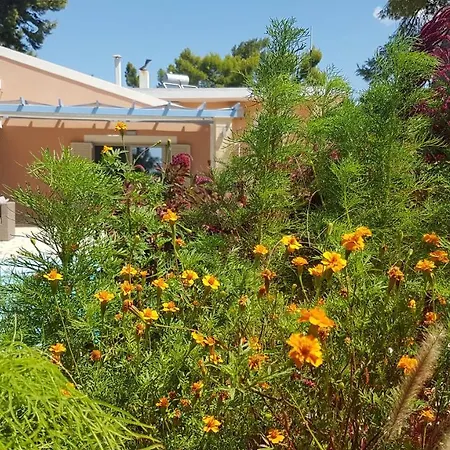 Ponderosa Kefalonia Ликсури